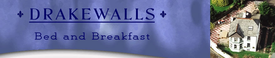 Drakewalls logo